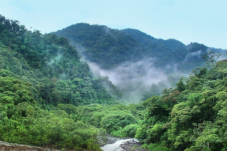 Costa Rica jungla y naturaleza