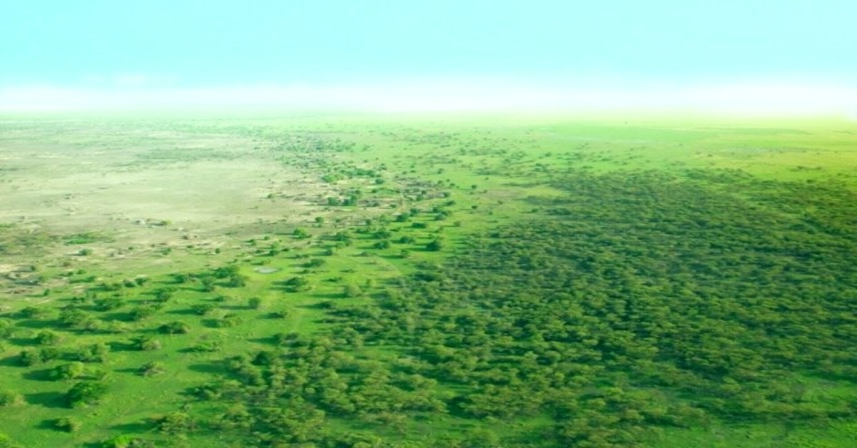 Gran muralla verde de África: ¿Dónde se encuentra?